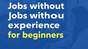 Работа без опыта: варианты трудоустройства для новичков